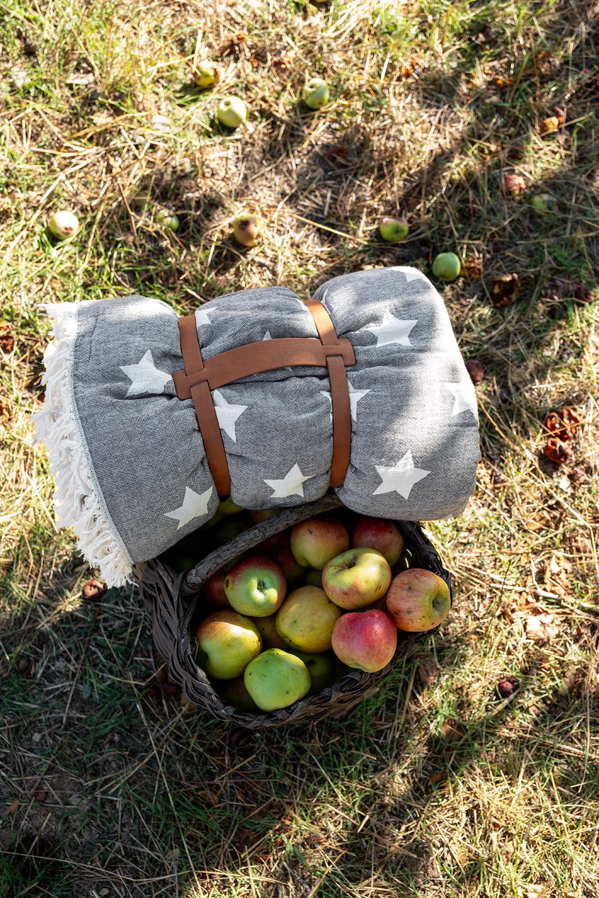 Fleece Double Face Star Jacquard Throw With Carry Strap Grey