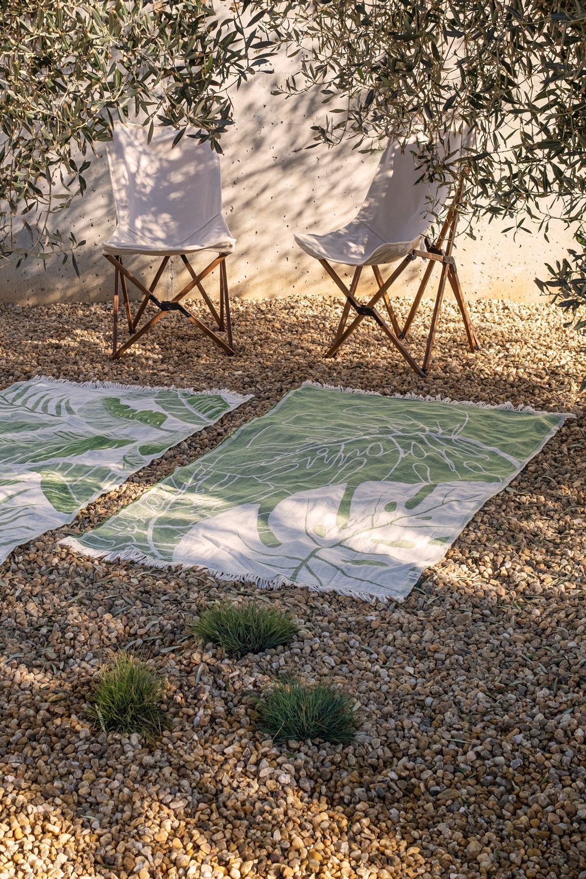 Monstera Peştamal Yeşil